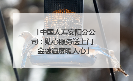 中国人寿安阳分公司：贴心服务送上门 金融温度暖人心