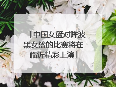 中国女篮对阵波黑女篮的比赛将在临沂精彩上演
