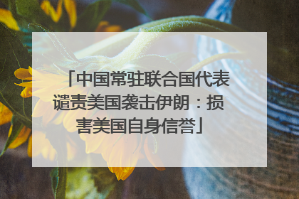 中国常驻联合国代表谴责美国袭击伊朗：损害美国自身信誉
