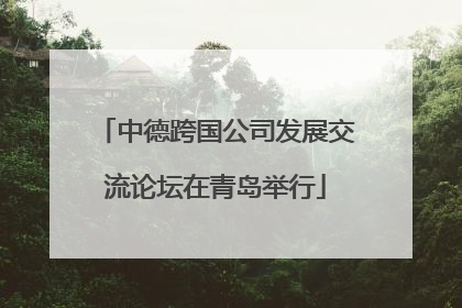 中德跨国公司发展交流论坛在青岛举行
