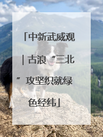 中新武威观｜古浪“三北”攻坚织就绿色经纬