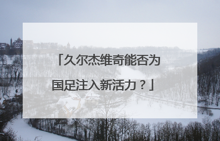 久尔杰维奇能否为国足注入新活力？
