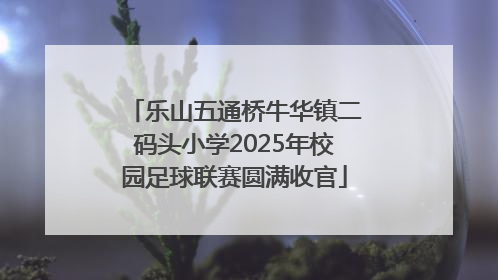 乐山五通桥牛华镇二码头小学2025年校园足球联赛圆满收官