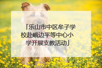 乐山市中区牟子学校赴峨边平等中心小学开展支教活动