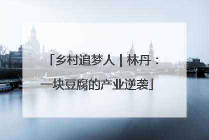 乡村追梦人｜林丹：一块豆腐的产业逆袭