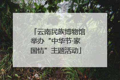 云南民族博物馆举办“中华节·家国情”主题活动