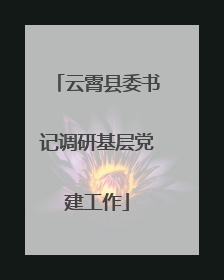 云霄县委书记调研基层党建工作