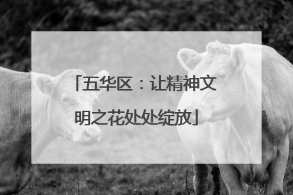 五华区：让精神文明之花处处绽放