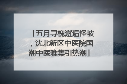 五月寻槐邂逅怪坡，沈北新区中医院国潮中医雅集引热潮