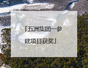 五洲集团一参建项目获奖