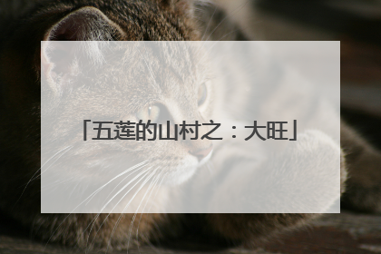 五莲的山村之：大旺