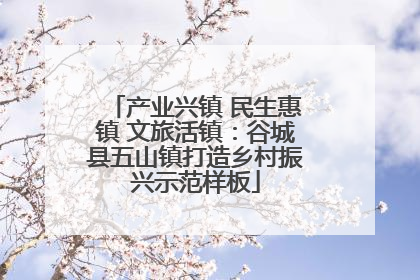 产业兴镇 民生惠镇 文旅活镇：谷城县五山镇打造乡村振兴示范样板