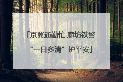 京冀通勤忙 廊坊铁警“一日多清”护平安