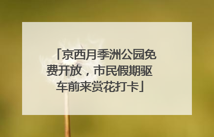 京西月季洲公园免费开放，市民假期驱车前来赏花打卡