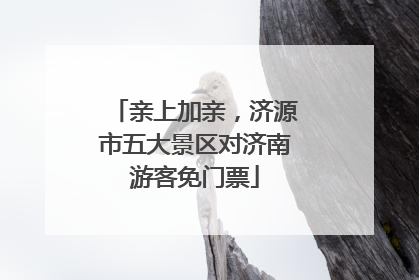 亲上加亲，济源市五大景区对济南游客免门票