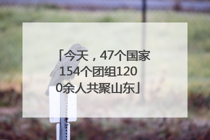 今天，47个国家154个团组1200余人共聚山东
