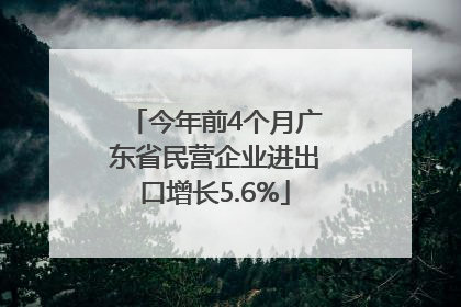 今年前4个月广东省民营企业进出口增长5.6%