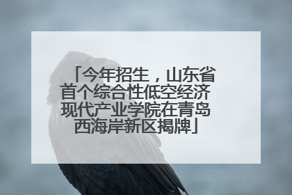 今年招生，山东省首个综合性低空经济现代产业学院在青岛西海岸新区揭牌
