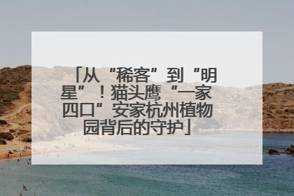 从“稀客”到“明星”！猫头鹰“一家四口”安家杭州植物园背后的守护