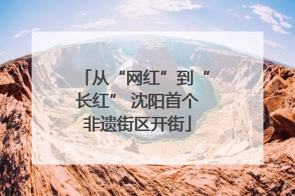 从“网红”到“长红” 沈阳首个非遗街区开街