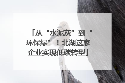 从“水泥灰”到“环保绿”！北湖这家企业实现低碳转型