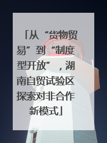 从“货物贸易”到“制度型开放”，湖南自贸试验区探索对非合作新模式