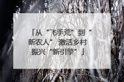从“飞手荒”到“新农人” 激活乡村振兴“新引擎”