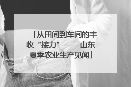 从田间到车间的丰收“接力”——山东夏季农业生产见闻
