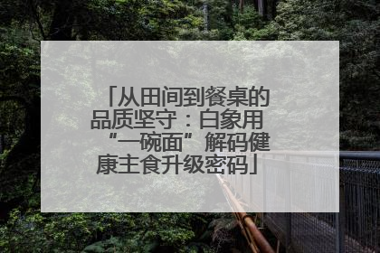 从田间到餐桌的品质坚守：白象用“一碗面”解码健康主食升级密码