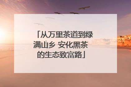从万里茶道到绿满山乡 安化黑茶的生态致富路