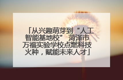 从兴趣萌芽到“人工智能基地校” 菏泽市万福实验学校点燃科技火种，赋能未来人才