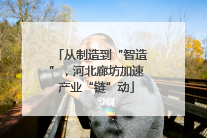 从制造到“智造”，河北廊坊加速产业“链”动