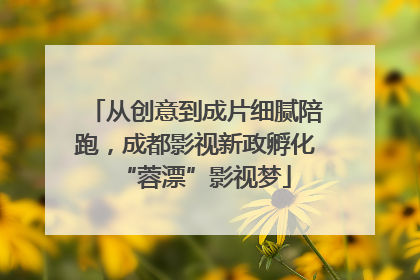 从创意到成片细腻陪跑，成都影视新政孵化“蓉漂”影视梦