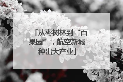 从枣树林到“百果园”，航空新城种出大产业