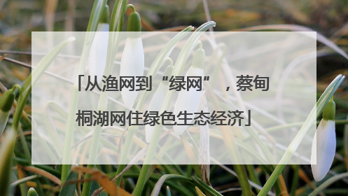从渔网到“绿网”，蔡甸桐湖网住绿色生态经济
