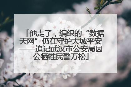 他走了，编织的“数据天网”仍在守护大城平安——追记武汉市公安局因公牺牲民警万松