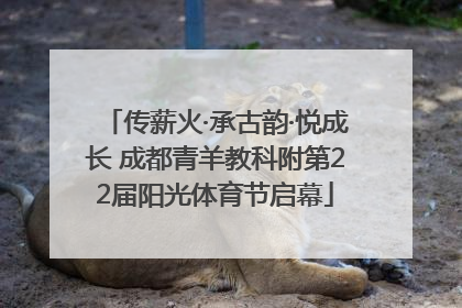 传薪火·承古韵·悦成长 成都青羊教科附第22届阳光体育节启幕