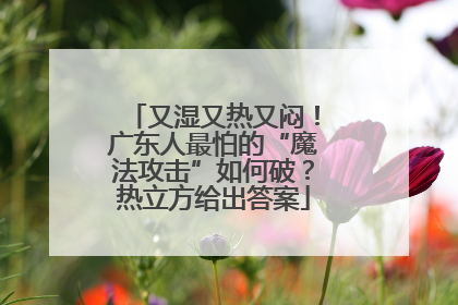 又湿又热又闷！广东人最怕的“魔法攻击”如何破？热立方给出答案
