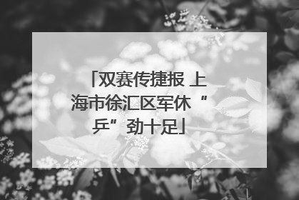 双赛传捷报 上海市徐汇区军休“乒”劲十足