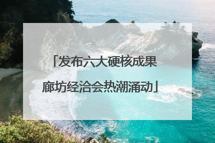 发布六大硬核成果 廊坊经洽会热潮涌动