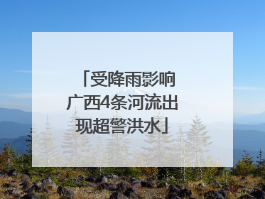 受降雨影响 广西4条河流出现超警洪水