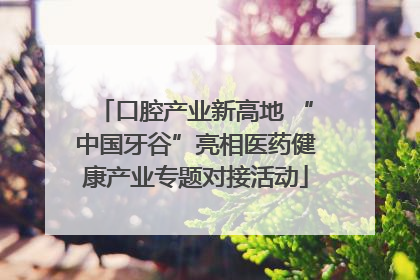 口腔产业新高地 “中国牙谷”亮相医药健康产业专题对接活动