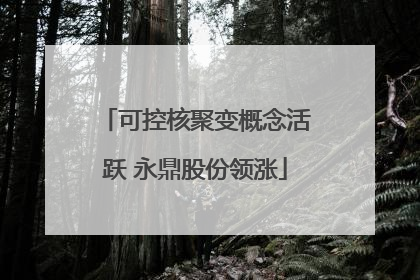 可控核聚变概念活跃 永鼎股份领涨