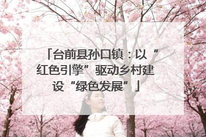 台前县孙口镇：以“红色引擎”驱动乡村建设“绿色发展”