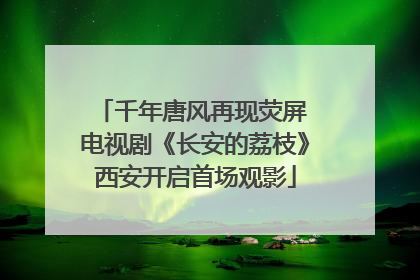 千年唐风再现荧屏 电视剧《长安的荔枝》西安开启首场观影