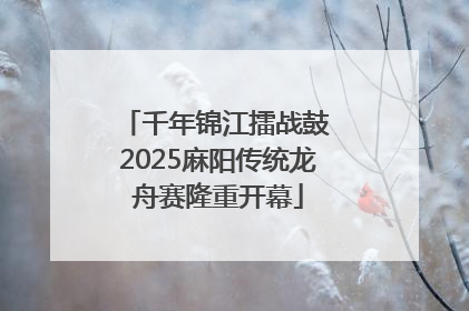 千年锦江擂战鼓 2025麻阳传统龙舟赛隆重开幕