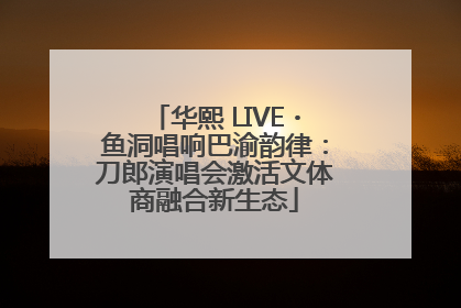 华熙 LIVE・鱼洞唱响巴渝韵律：刀郎演唱会激活文体商融合新生态