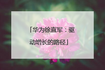 华为徐直军：驱动增长的路径