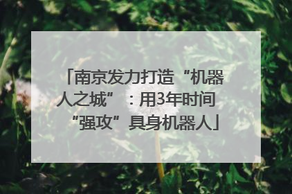 南京发力打造“机器人之城”：用3年时间“强攻”具身机器人