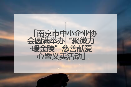 南京市中小企业协会圆满举办“聚微力·暖金陵”慈善献爱心暨义卖活动